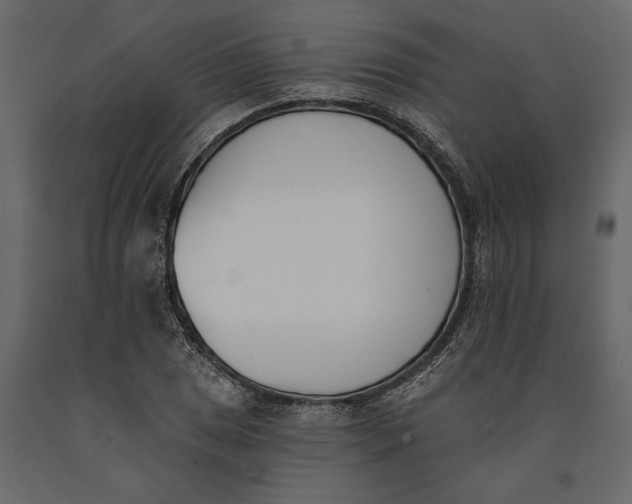 X0000091071025200708271212