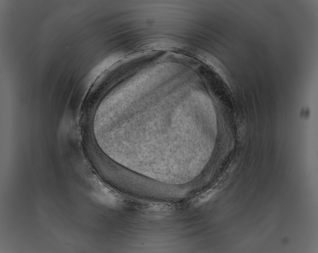 X0000091071026200708271212