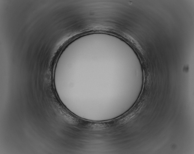 X0000091071027200708271212