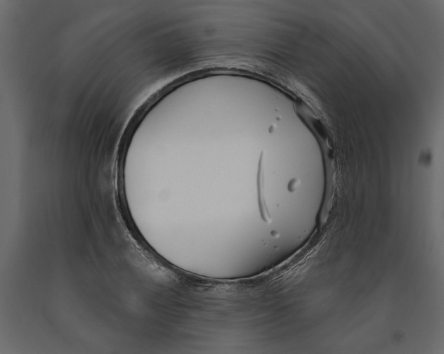 X0000091071028200708271212