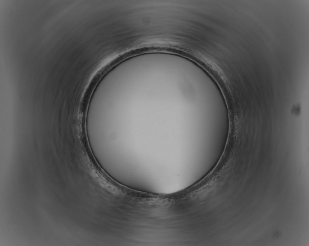 X0000091071029200708271212