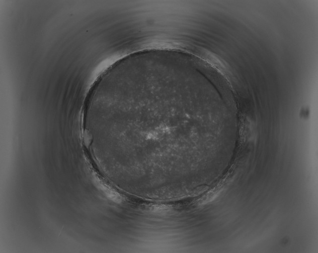 X0000091071030200708271212