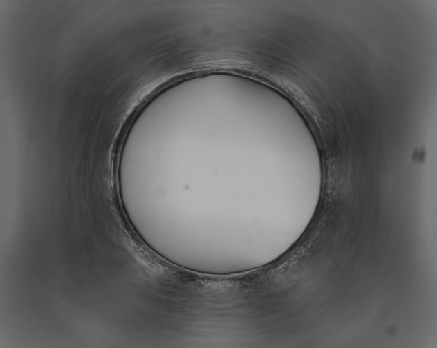 X0000091071031200708271212