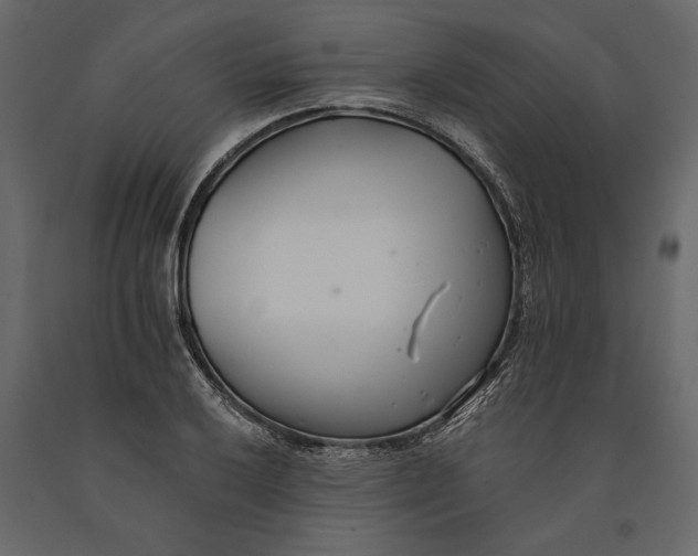 X0000091071032200708271212