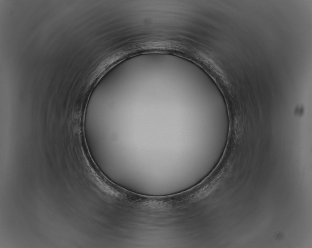 X0000091071033200708271212