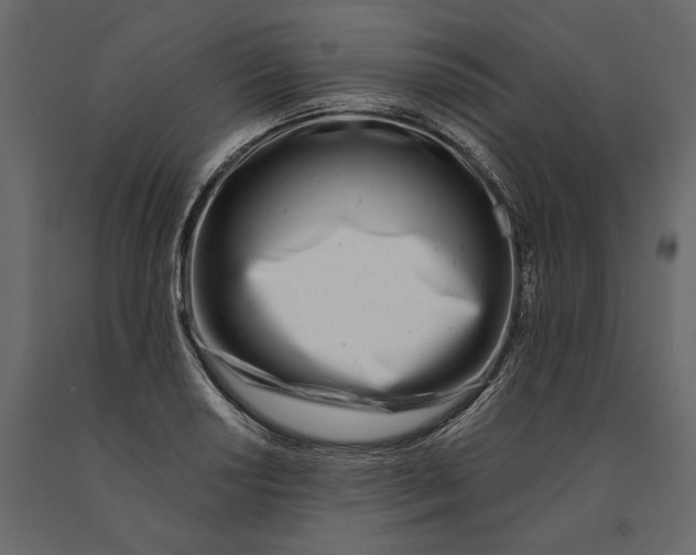 X0000091071034200708271212