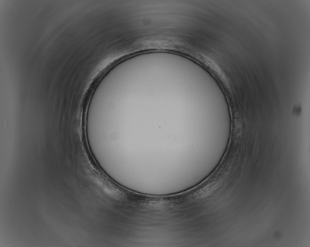 X0000091071035200708271212