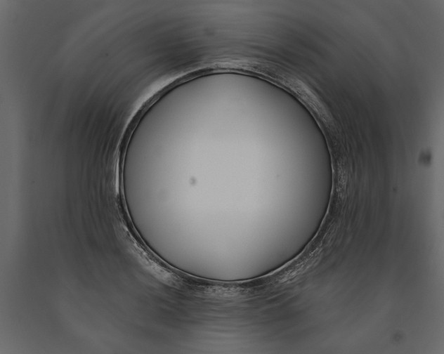 X0000091071036200708271212