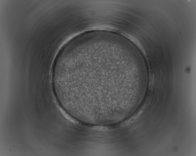 X0000091071037200708271212