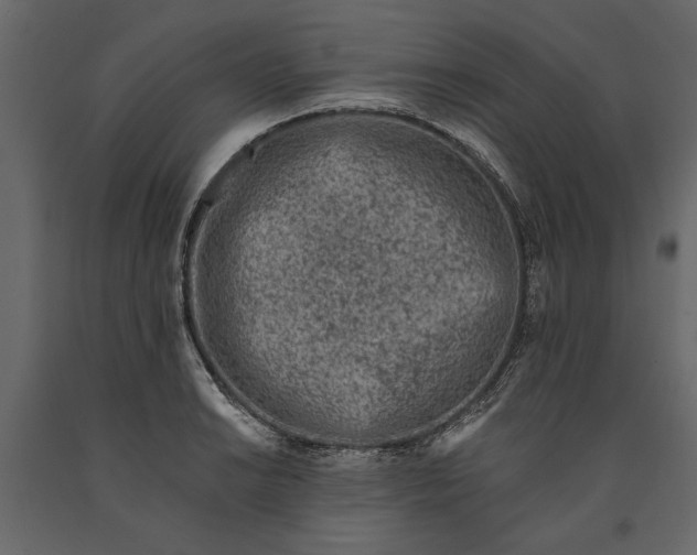 X0000091071038200708271212