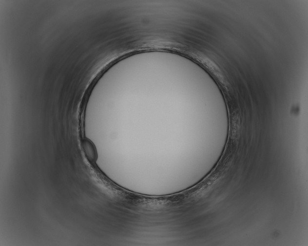 X0000091071039200708271212