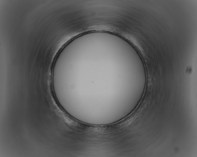 X0000091071040200708271212