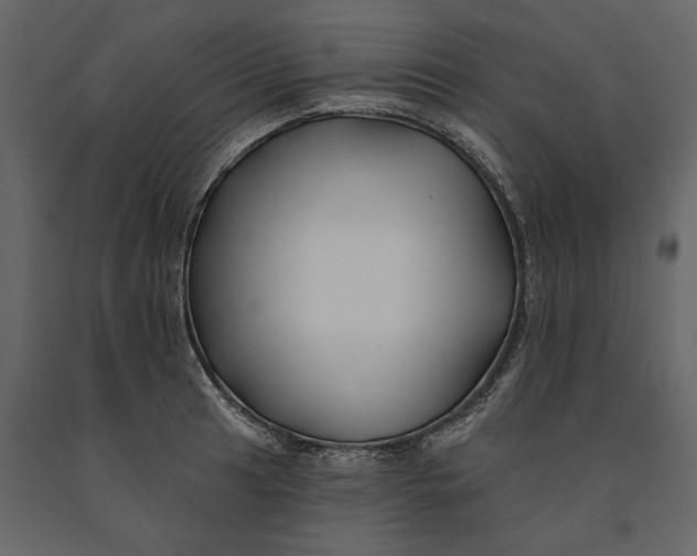 X0000091071041200708271212