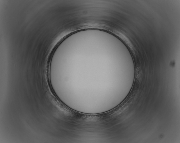 X0000091071043200708271212