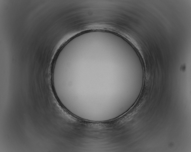 X0000091071045200708271212