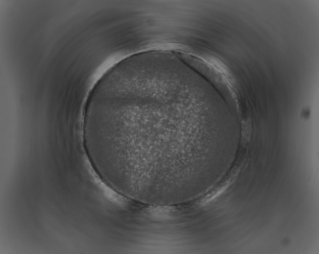 X0000091071046200708271212