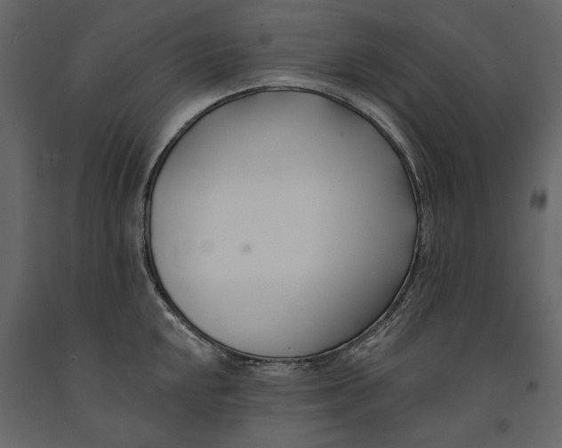 X0000091071048200708271212