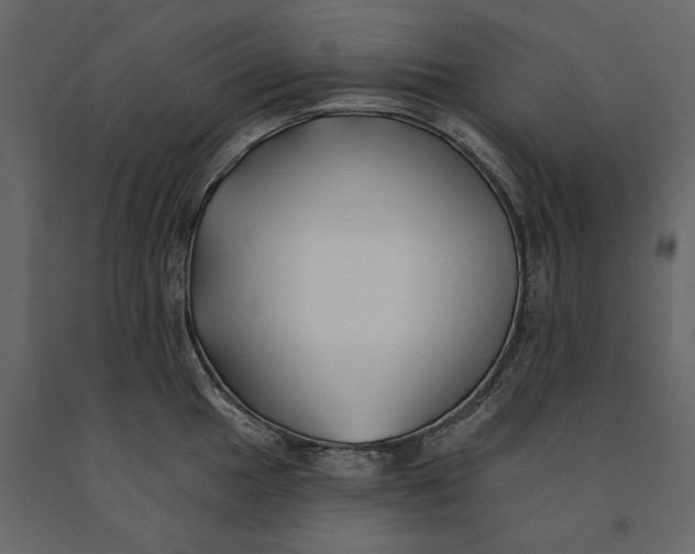 X0000091071049200708271212