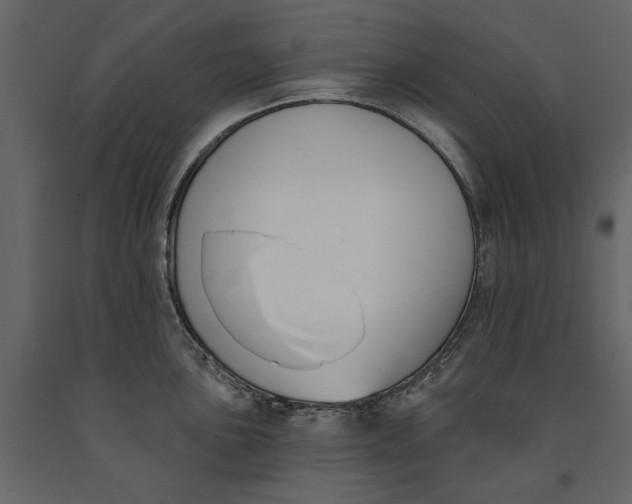 X0000091071051200708271212