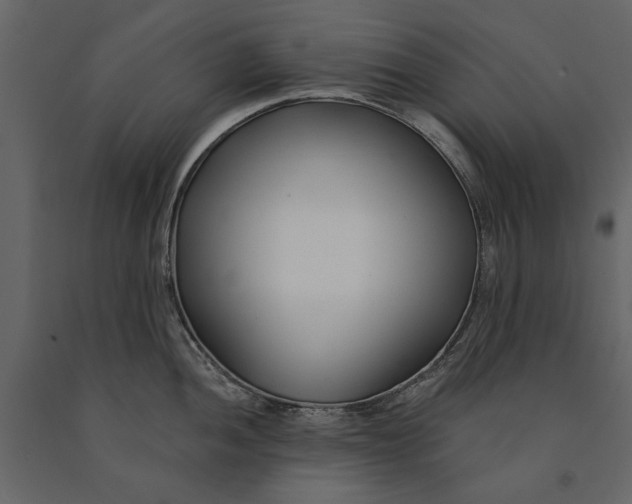 X0000091071052200708271212