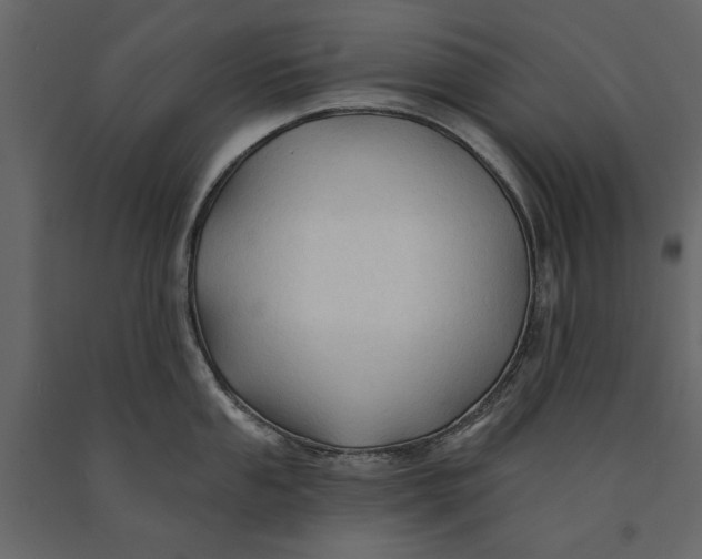 X0000091071053200708271212