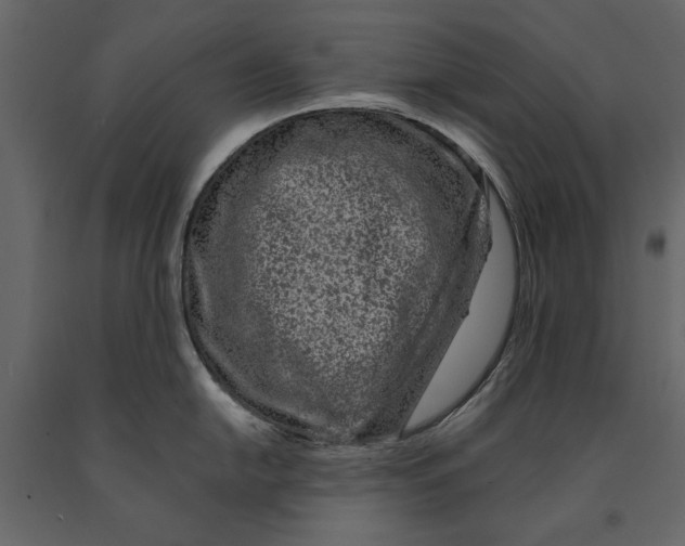 X0000091071054200708271212