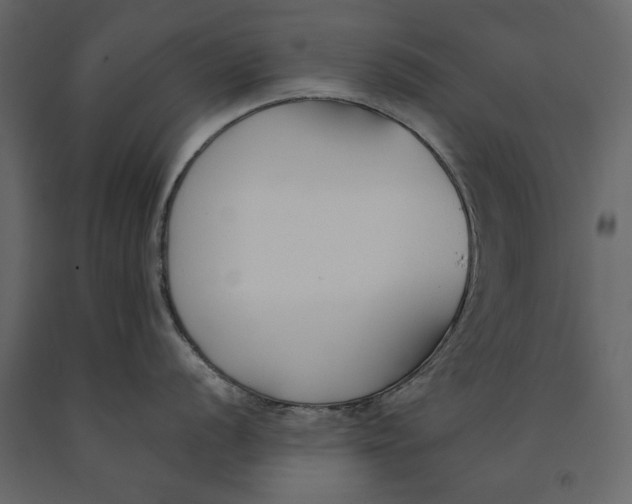 X0000091071056200708271212