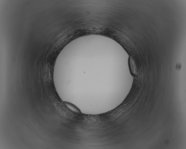 X0000091071058200708271211