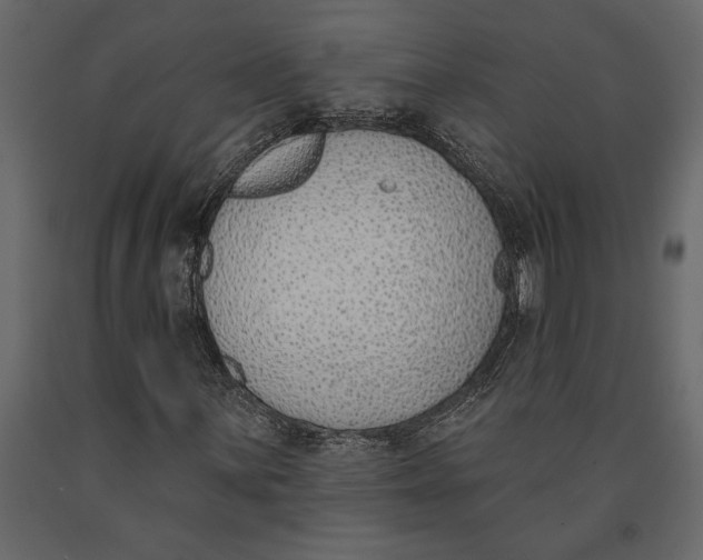 X0000091071059200708271211