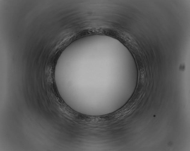 X0000091071060200708271211