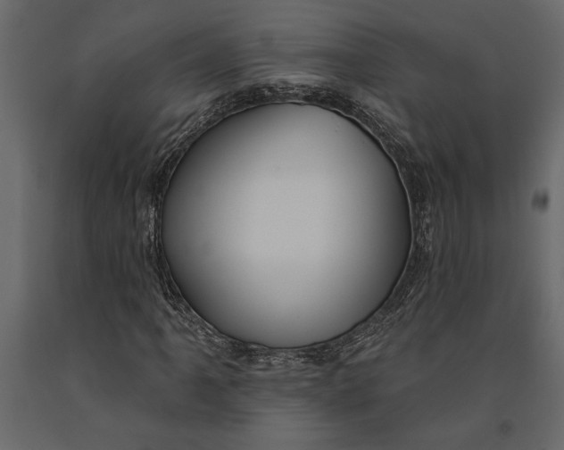 X0000091071061200708271211