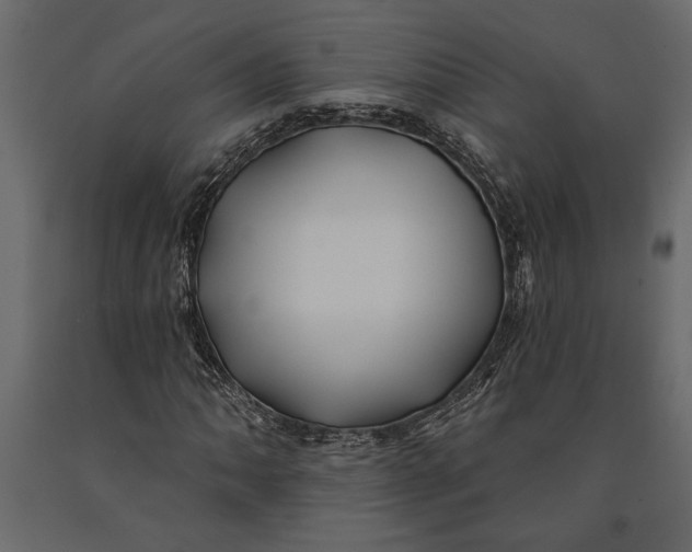 X0000091071062200708271211