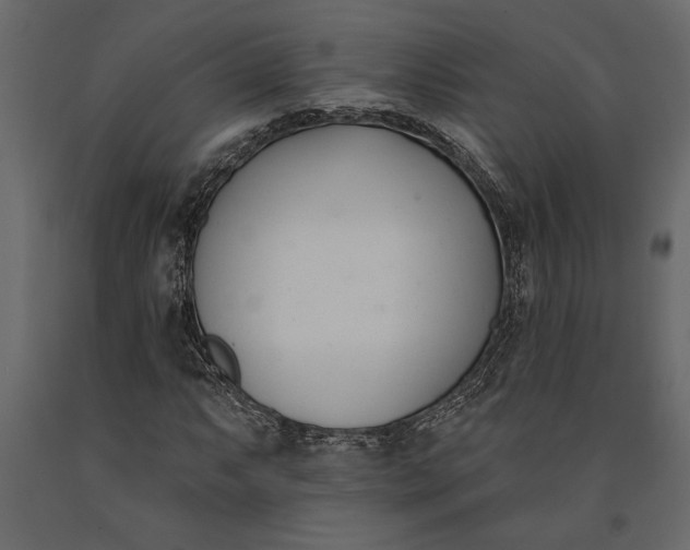 X0000091071063200708271211