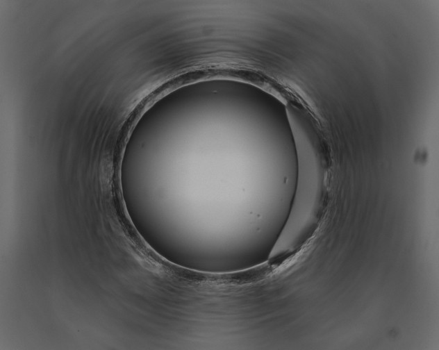 X0000091071065200708271211