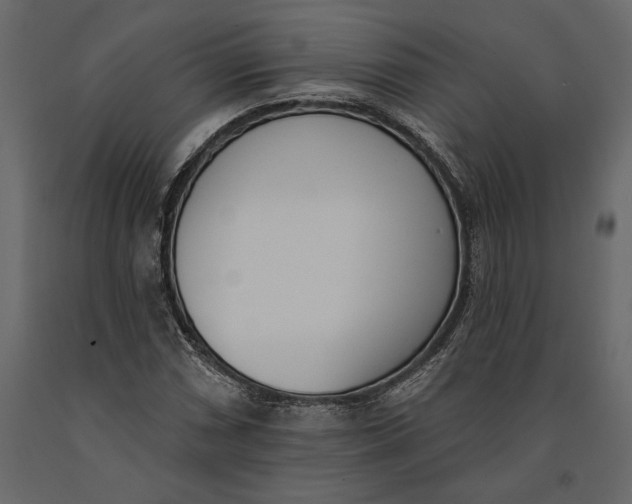 X0000091071066200708271211