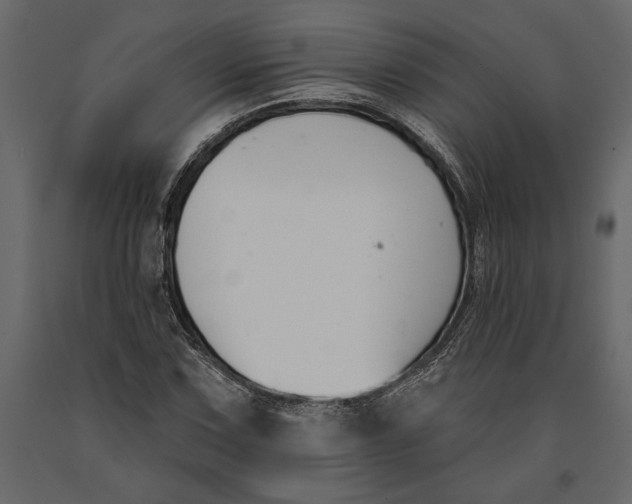 X0000091071067200708271211