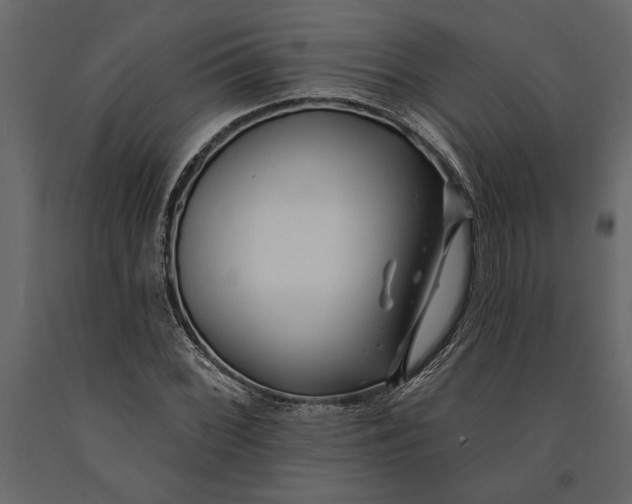 X0000091071068200708271211