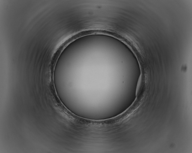 X0000091071069200708271211