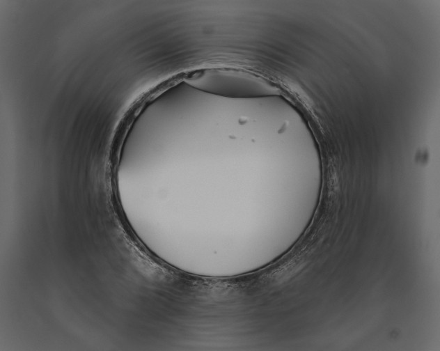 X0000091071072200708271211