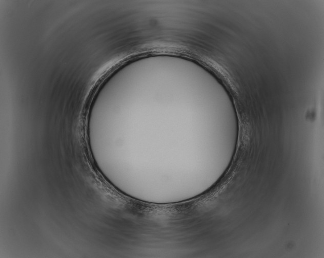 X0000091071074200708271211