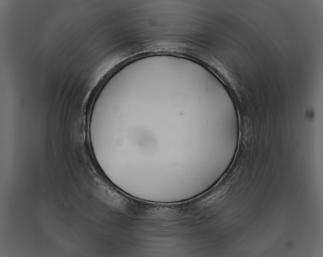 X0000091071075200708271211