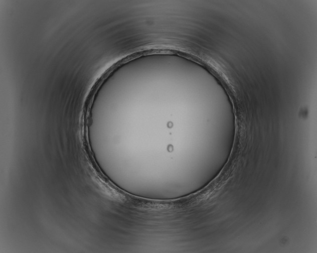 X0000091071076200708271211