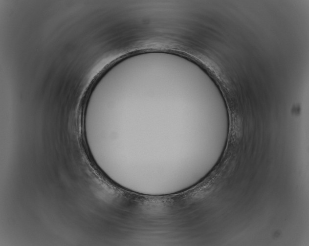 X0000091071078200708271211