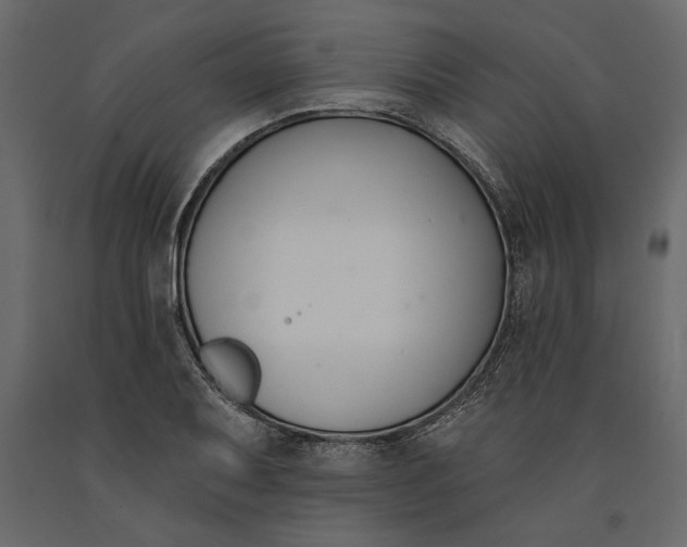 X0000091071079200708271211