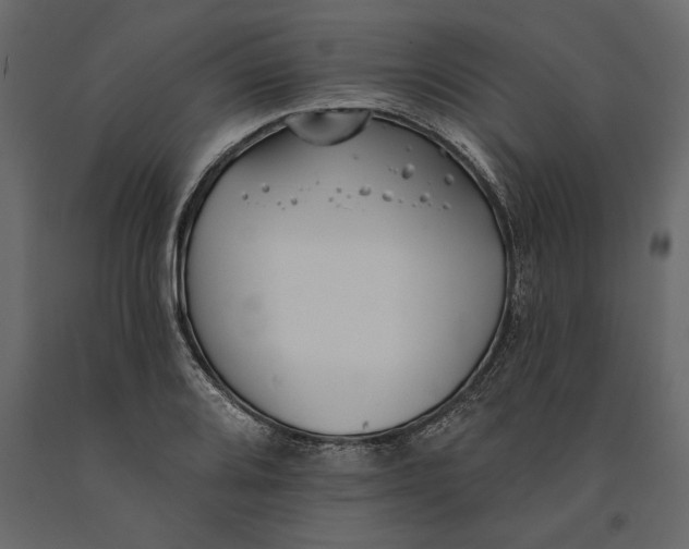 X0000091071080200708271211