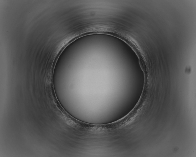 X0000091071081200708271211