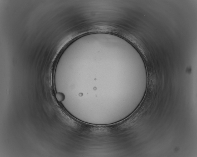 X0000091071083200708271211