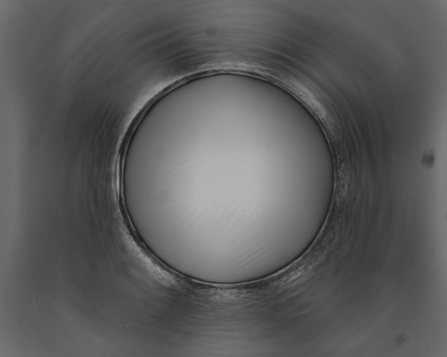 X0000091071084200708271211