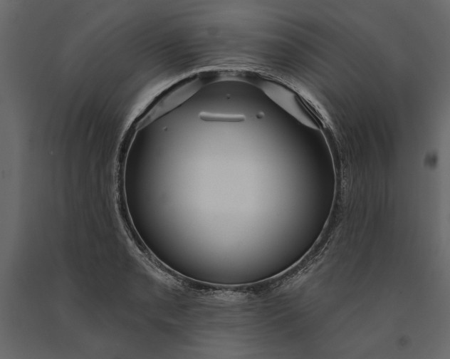 X0000091071085200708271211