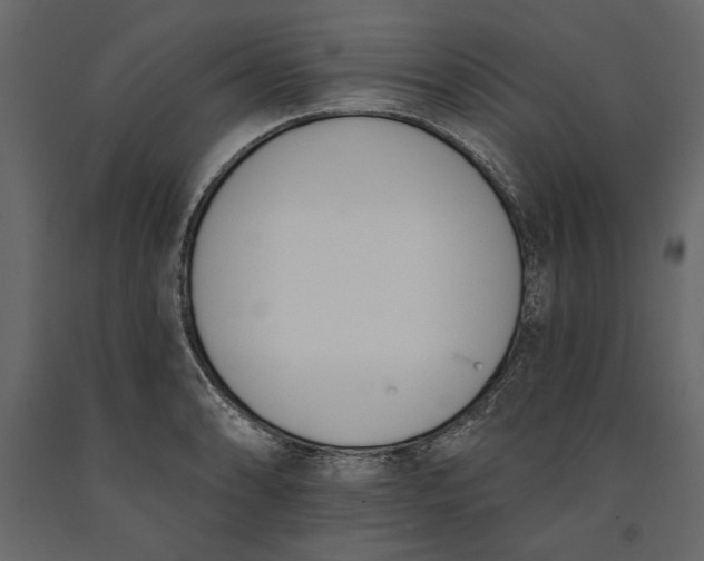 X0000091071086200708271211